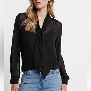 Express Black Sheer Tie-Neck Blouse